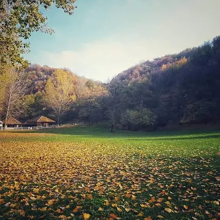 Апартаменты Poljoprivredno Turisticko Domacinstvo Deguric