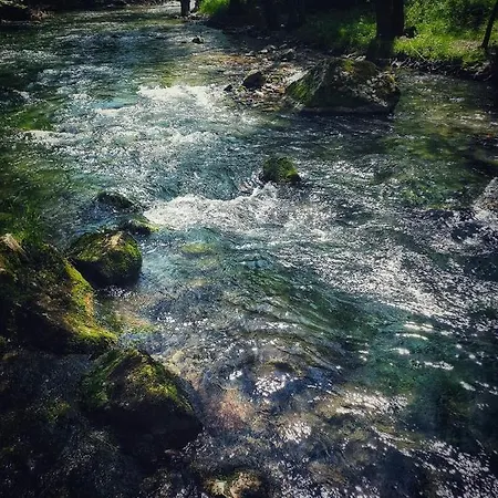 Poljoprivredno Turisticko Domacinstvo Deguric Апартаменты