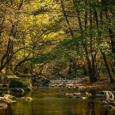 Apartment Poljoprivredno Turisticko Domacinstvo Deguric Valjevo