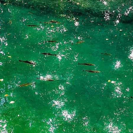 Poljoprivredno Turisticko Domacinstvo Deguric