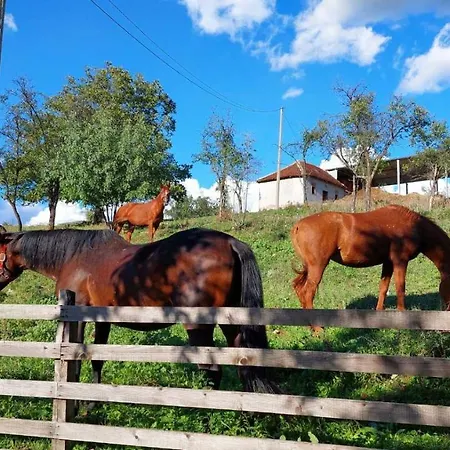 Poljoprivredno Turisticko Domacinstvo Deguric