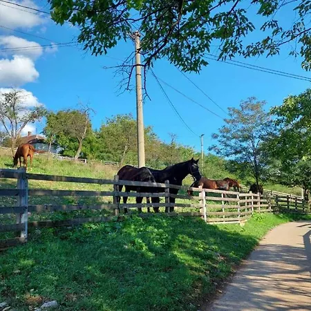 Апартаменты Poljoprivredno Turisticko Domacinstvo Deguric Валево
