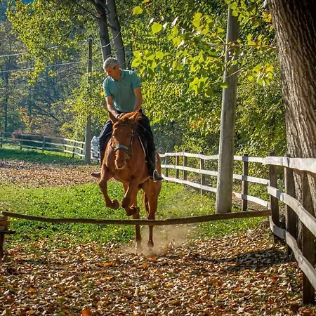 Poljoprivredno Turisticko Domacinstvo Deguric Valjevo