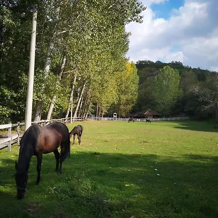 Poljoprivredno Turisticko Domacinstvo Deguric Апартаменты