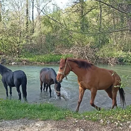 Poljoprivredno Turisticko Domacinstvo Deguric * Валево