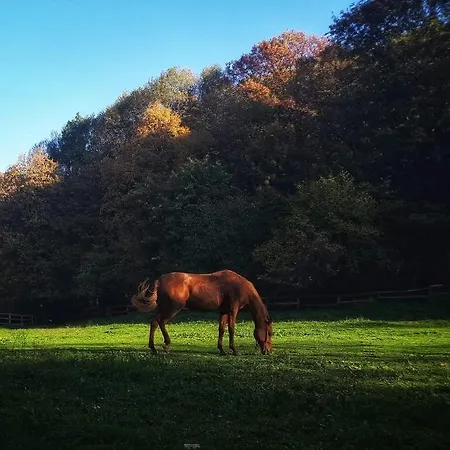 Poljoprivredno Turisticko Domacinstvo Deguric Апартаменты *