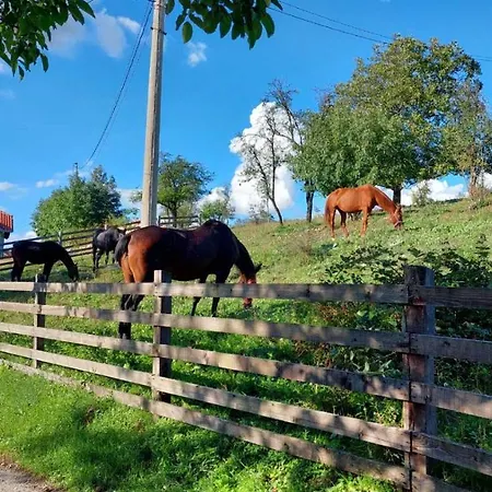 Poljoprivredno Turisticko Domacinstvo Deguric * Валево