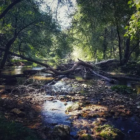 Apartment Poljoprivredno Turisticko Domacinstvo Deguric