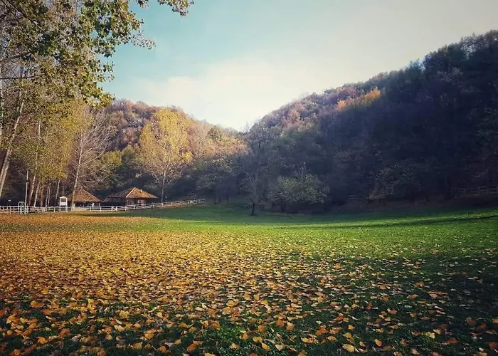 아파트 Poljoprivredno Turisticko Domacinstvo Deguric