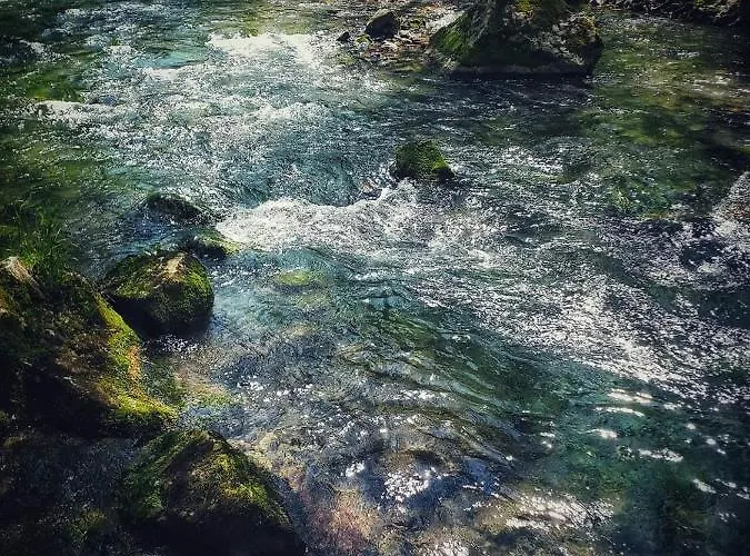 Poljoprivredno Turisticko Domacinstvo Deguric 아파트