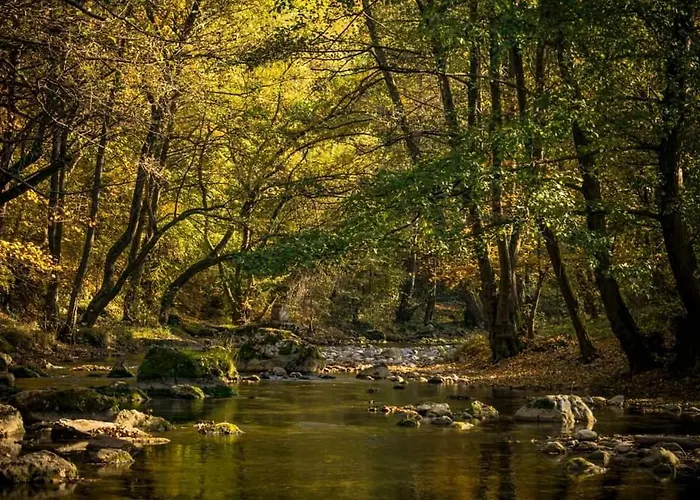 아파트 Poljoprivredno Turisticko Domacinstvo Deguric 발제보