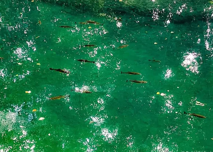 Poljoprivredno Turisticko Domacinstvo Deguric