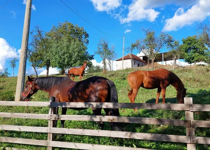 Poljoprivredno Turisticko Domacinstvo Deguric