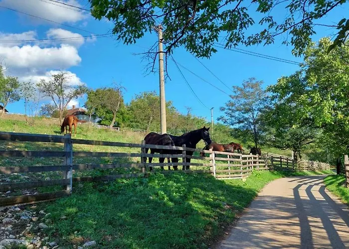 아파트 Poljoprivredno Turisticko Domacinstvo Deguric 발제보