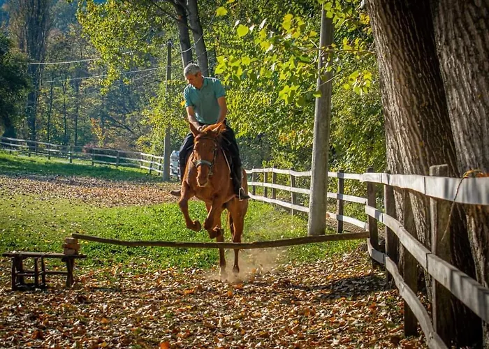 Poljoprivredno Turisticko Domacinstvo Deguric 발제보