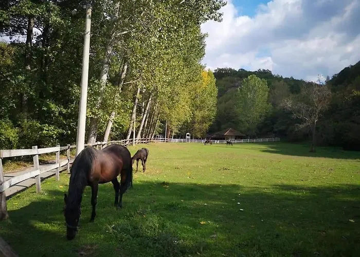 Poljoprivredno Turisticko Domacinstvo Deguric 아파트