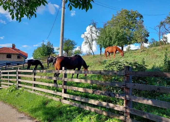 Poljoprivredno Turisticko Domacinstvo Deguric * 발제보